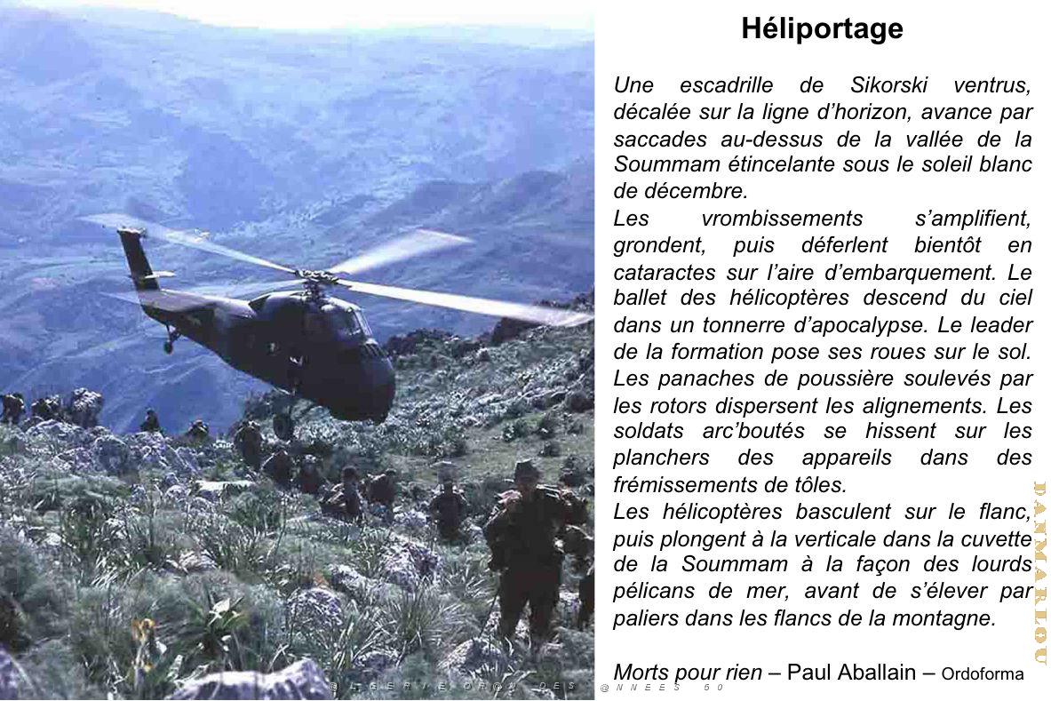 202- ARMEE DE L'AIR EN ALGERIE 1945-1962-50 (18).jpg